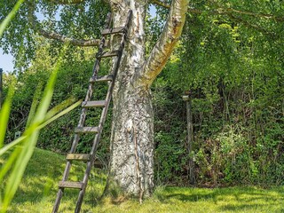 Vakantiehuis Vaeggerløse Buitenaudio-opname 4