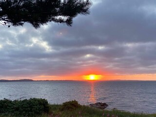 Vakantiehuis Hvalpsund  28