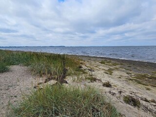 Holiday house Hvalpsund  15