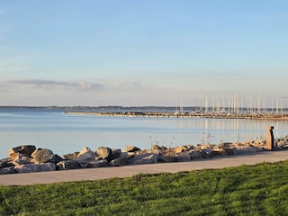 Vakantiehuis Hvalpsund  39