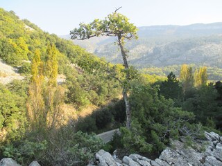 Casa per le vacanze Malaucène Ambiente 23