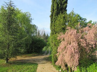 Vakantiehuis Malaucène Buitenaudio-opname 7