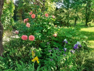 Vordere Gartenseite im Frühling
