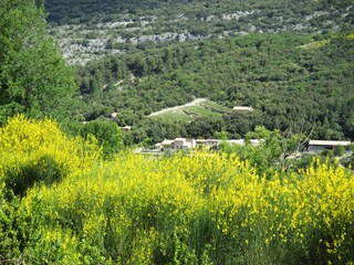 Casa per le vacanze Malaucène Ambiente 26