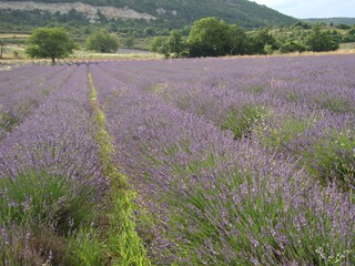Casa per le vacanze Malaucène Ambiente 22