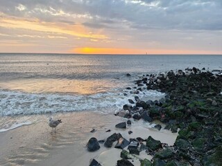 Appartement Westerland Environnement 28