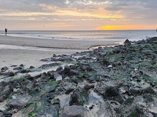 Appartement Westerland Environnement 12