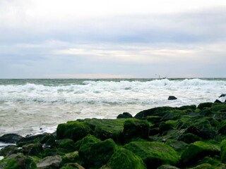 Appartement Westerland Environnement 15