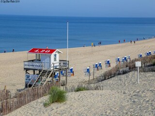 Appartement Westerland Environnement 13