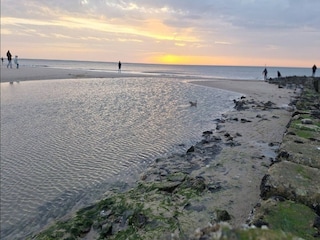 Appartement Westerland Omgeving 22