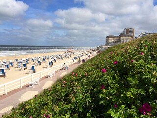 Appartement Westerland Omgeving 17