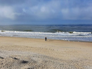 Apartment Westerland Environment 31