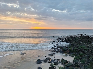 Apartment Westerland Environment 15