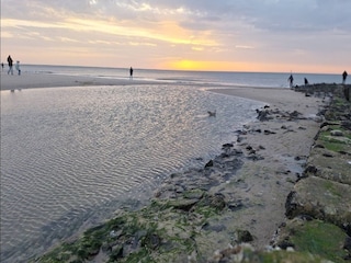 Apartment Westerland Environment 17