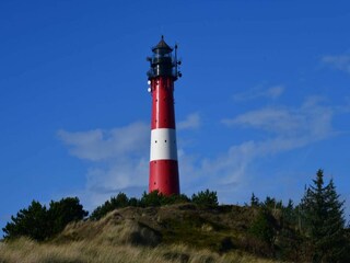 Appartement Westerland Omgeving 15