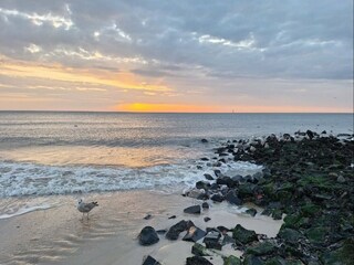 Apartment Westerland Environment 34