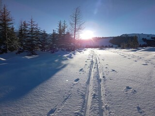 Maison de vacances Krimml Environnement 27