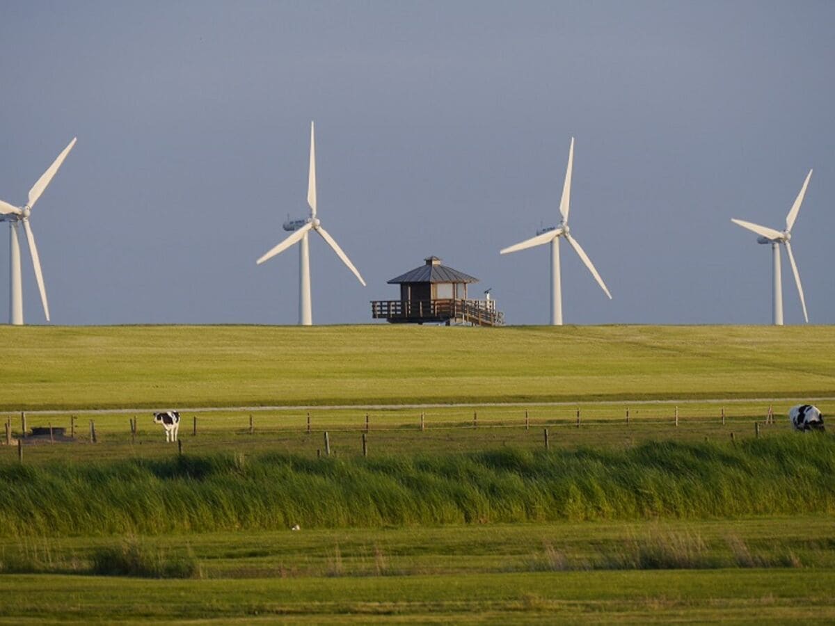 Ferienhaus Dorum-Neufeld Umgebung 27