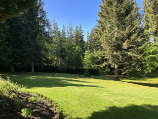 Holiday apartment Titisee-Neustadt Outdoor Recording 6