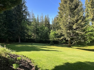 Westansicht unseres Garten