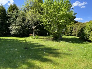 our big nature garden