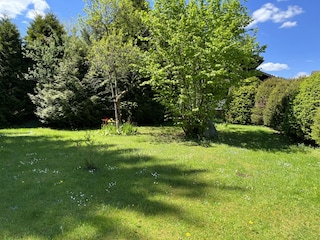 unser großer Naturgarten Südseite