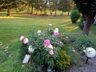 Westseite unserem großen Naturgarten