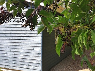 Holiday house Vestervig  26