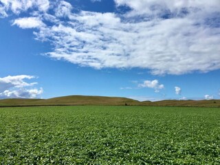 Appartement Ystad  13