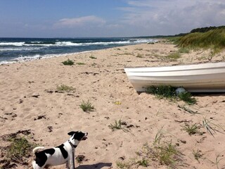 Appartement Ystad  14