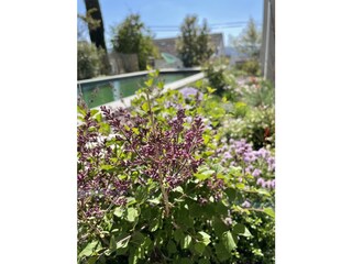 Appartamento per vacanze Bodman-Ludwigshafen Registrazione all'aperto 3