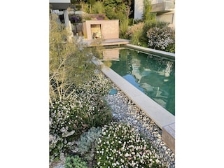 Naturpool