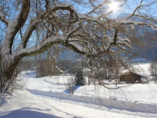 Appartamento per vacanze Bad Reichenhall Ambiente 15