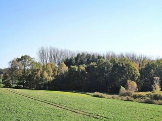 Appartement Mirow Buitenaudio-opname 4