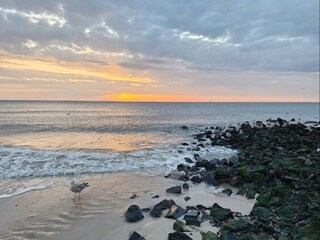 Appartement Westerland Environnement 15