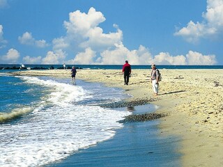 Apartment Boltenhagen Umgebung 15
