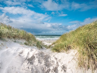 Strand auf der Insel Hiddensee