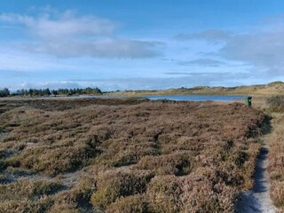 Ferienhaus Vejers Strand  61