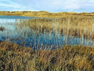 Maison de vacances Vejers Strand  49