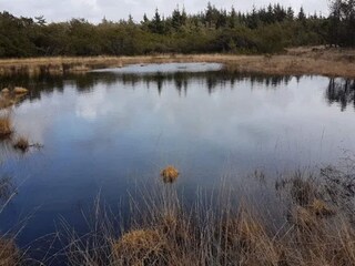 Maison de vacances Vejers Strand  51