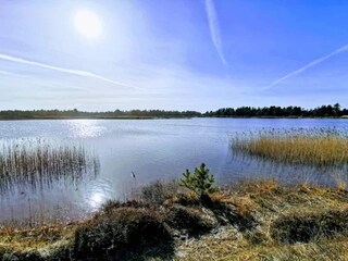 Vakantiehuis Vejers Strand  52