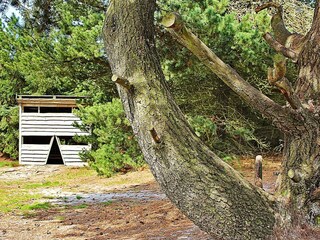 Casa per le vacanze Fjand  26