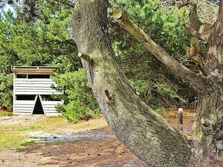 Vakantiehuis Fjand  4