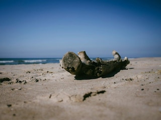 Casa de vacaciones Fjand  43