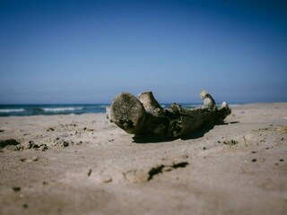 Ferienhaus Fjand  21