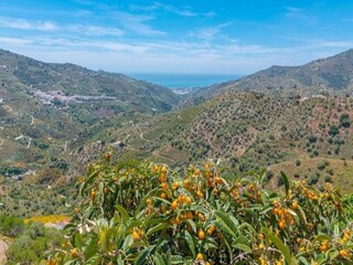 Villa Sayalonga Environnement 34