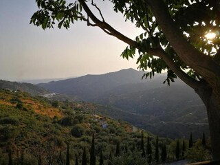 Villa Sayalonga Ambiente 22