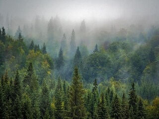 Parc de vacances Viroinval Environnement 34