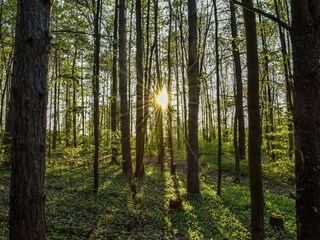 Parc de vacances Viroinval Environnement 22