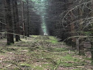 Parc de vacances Viroinval Environnement 24